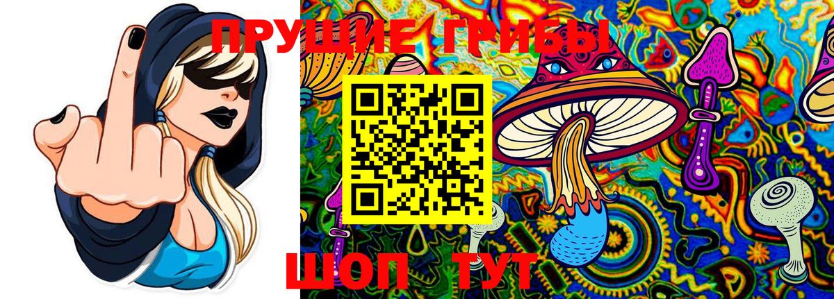 Галлюциногенные грибы ЛСД Губкин
